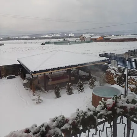 Casa Ovidiu Holiday home *